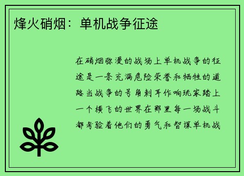 烽火硝烟：单机战争征途